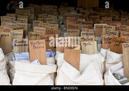 Eine Auswahl von Kräutern und Gewürzen auf einen Stall in ein mittelalterliches fest Stockfoto