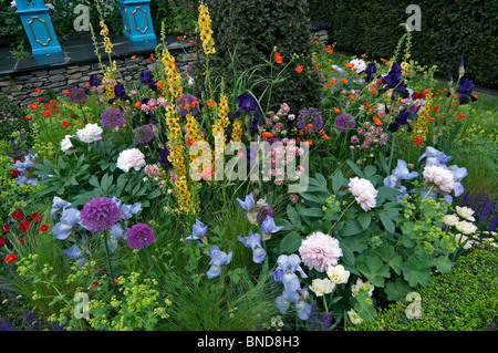 Nahaufnahme von einem gemischten Blumen mit Königskerzen, Iris und Pfingstrosen in einem viktorianischen Voliere Garten Stockfoto