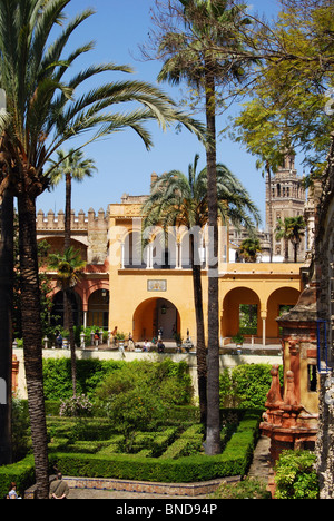 Alcazar - Schloss der Könige, Gärten, Sevilla, Provinz Sevilla, Andalusien, Südspanien, Westeuropa. Stockfoto