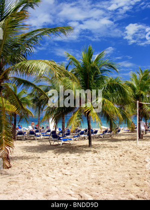 Palmen am Mammee Bay Beach im RIU Hotel in Ocho Rios Jamaica Stockfoto