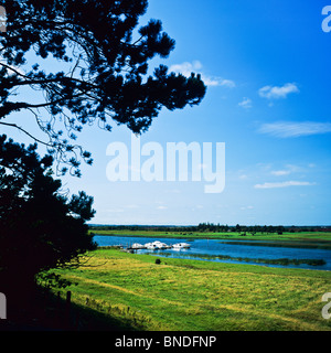 Festgemachten Kreuzfahrt Boote am Fluss Shannon von Clonmacnoise Kloster, County Offaly, Irland Stockfoto