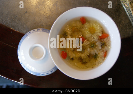 Chinese Chrysantheme Tee, Shanghai, China Stockfoto