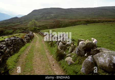 Großbritannien, Wales, Snowdonia, Llanberis, grüne Gasse am Fuße des Mount Snowdon Stockfoto