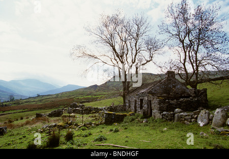 Großbritannien, Wales, Snowdonia, Llanberis verlassenen Bauernhof am Fuße des Mount Snowdon Stockfoto