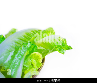 frische Salatblätter auf eine brow3n Schüssel extreme Cose über weiß Stockfoto
