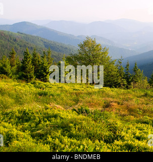 Geschichteten Berge Landschaft mit grass Stockfoto