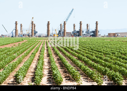 Ein neues Schnellstart-Erdgas-Kraftwerk im Bau in Arizona. Stockfoto