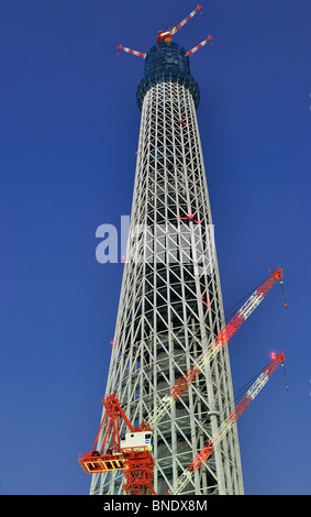 Nachtaufnahme von "Sky Tree", Tokios neuen Fernsehturm im Bau (379 m) mit Kran im Vordergrund und an der Spitze (Japan) Stockfoto