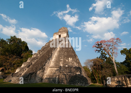 Niedrigen Winkel Anzeigen eines Tempels, Tikal Tempel I, Tikal Nationalpark Tikal, Guatemala Stockfoto