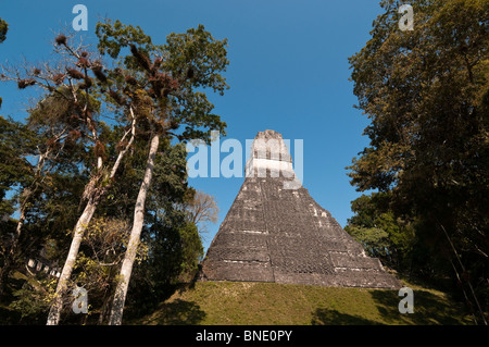 Niedrigen Winkel Anzeigen eines Tempels, Tikal Tempel I, Tikal Nationalpark Tikal, Guatemala Stockfoto