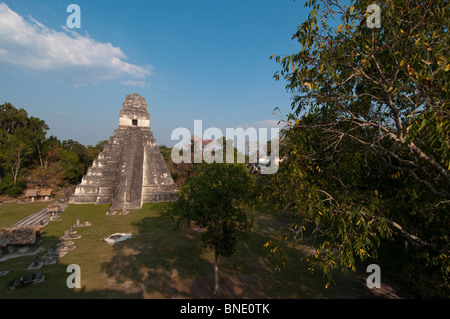 Fassade eines Tempels, Tikal Tempel I, große Plaza, Tikal National Park, Tikal, Guatemala Stockfoto