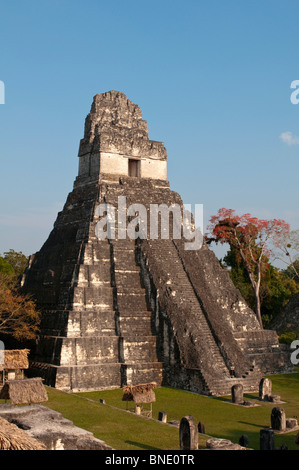 Fassade eines Tempels, Tikal Tempel I, große Plaza, Tikal National Park, Tikal, Guatemala Stockfoto