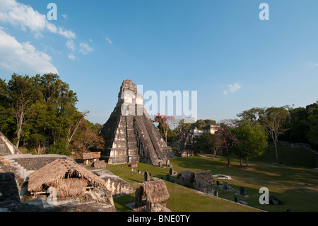 Fassade eines Tempels, Tikal Tempel I, große Plaza, Tikal National Park, Tikal, Guatemala Stockfoto