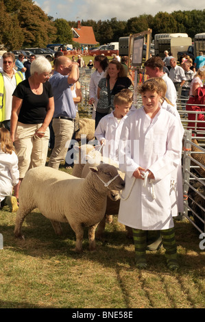 Findon Schafe Messe, West Sussex, England Stockfoto