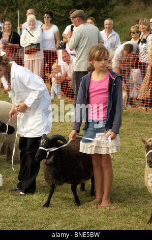 Findon Schafe Messe, West Sussex, England Stockfoto