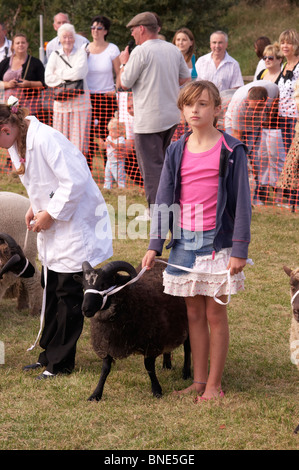 Findon Schafe Messe, West Sussex, England Stockfoto