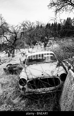 Altes französisches Auto, verrostet und beschädigt in der Natur in schwarz / weiß Stockfoto