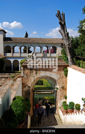 Garten der Sultana, Generalife Gärten, Palast von Alhambra, Granada