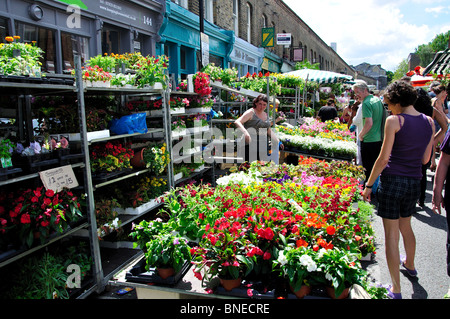 Columbia Road Blumenmarkt, Columbia Road, Bethnal Green, London Borough Tower Hamlets, London, Vereinigtes Königreich Stockfoto