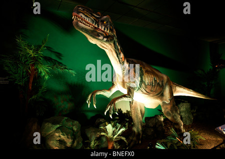 Skulptur von Velociraptor bei Witte Museum mit Dinosaurier-Ausstellung in San Antonio Texas, USA Stockfoto