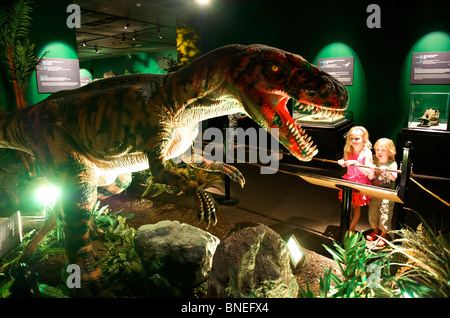 Skulptur von Velociraptor bei Witte Museum mit Dinosaurier-Ausstellung in San Antonio Texas, USA Stockfoto