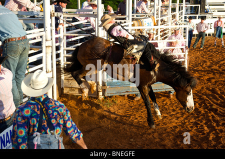 PRCA Rodeo Cowboy Mitglied versucht, sich auf Pferd in Smalltown Bridgeport, Texas zu balancieren Stockfoto