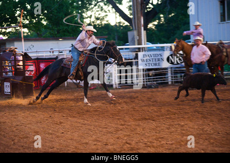 Cowboy roping Kalb PRCA Rodeo Event in Bridgeport, Texas, USA Stockfoto