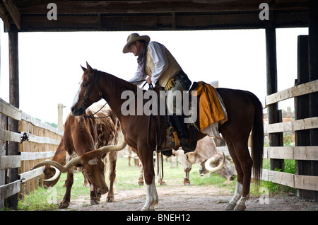 Cowboy Pferd mit Longhorn auf Ranch zu sitzen, auf dem Parkplatz in Fort Worth Texas, USA Stockfoto