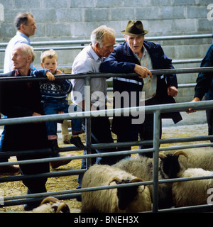 BAUERN UND KINDER AUF DEM SCHAFMARKT MAAM DURCHQUEREN CONNEMARA COUNTY GALWAY IRLAND EUROPA Stockfoto