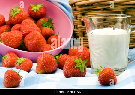 Leckere frische Erdbeeren und Sahne auf einem aufgegebenen Tuch mit einem Picknickkorb Stockfoto