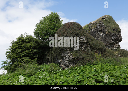 Eine verfallene Burg auf Mull. Stockfoto