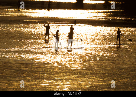 Paddel-Boarder-Paddel auf Lady Bird Lake nahe der Innenstadt von Austin, Texas, USA, bei Sonnenuntergang an einem frühen Sommerabend aufstehen. Stockfoto