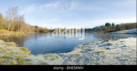 Tarn Hows Lake District Stockfoto