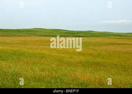 US-Kernland umfasst, "Farmscapes", Ranchland, staubige Straßen, Rasen landet, Rinder, Pferde, rotem Lehm, roten Schmutz und verwüsteten Gebiete Stockfoto