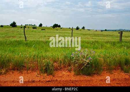 US-Kernland umfasst, "Farmscapes", Ranchland, staubige Straßen, Rasen landet, Rinder, Pferde, rotem Lehm, roten Schmutz und verwüsteten Gebiete Stockfoto