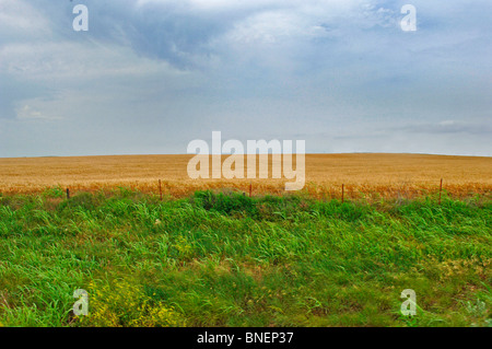 US-Kernland umfasst, "Farmscapes", Ranchland, staubige Straßen, Rasen landet, Rinder, Pferde, rotem Lehm, roten Schmutz und verwüsteten Gebiete Stockfoto