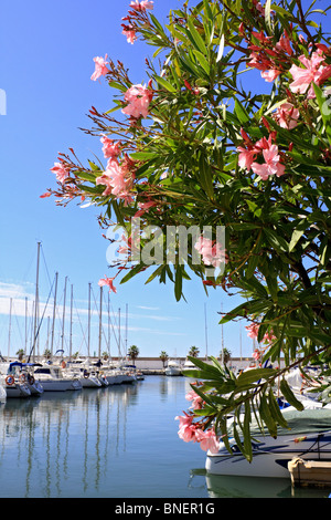 Sitges Marina, Port d'Aiguadolç. Sitges, Katalonien, Spanien. Stockfoto