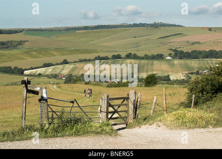 Ein Tor zu den South Downs Way führt zum Fluss Adur Tal in der Nähe von Upper Beeding und Steyning - South Downs National Park. Stockfoto