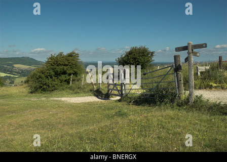 Ein Tor auf der South Downs Way, was zu dem Fluss Adur einen Weg und Ditchling Beacon anders - South Downs National Park. Stockfoto