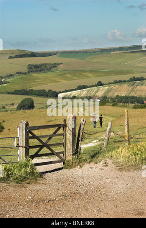 Ein Tor zu den South Downs Way führt zum Fluss Adur Tal in der Nähe von Upper Beeding und Steyning - South Downs National Park. Stockfoto