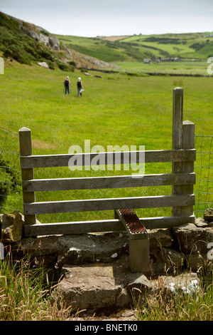 Großbritannien, Wales, Gwynedd, Llanengan, zwei Frauen zu Fuß vorbei an Stil zu Mynydd Cilan auf Llyn Küstenpfad Stockfoto