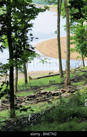 Blick durch die Bäume auf einem Strand auf Ladybower Vorratsbehälter Stockfoto