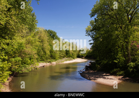 Middle Fork des Vermilion River im Frühjahr. Kickapoo State Park, Illinois Stockfoto