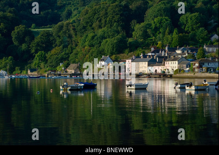 Das malerische Dorf Dittisham auf dem Fluss Dart in Devon England UK Stockfoto