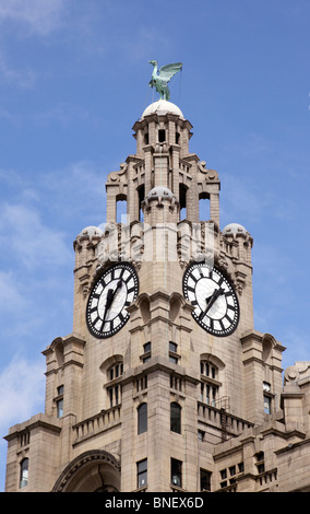 Fassade des Royal Liver Building von den Docks in Liverpool Merseyside UK Stockfoto