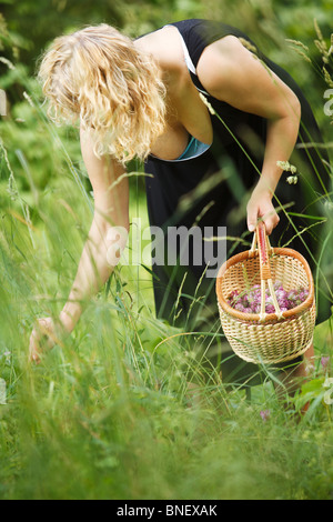 Frau Kommissionierung Kräutertee lange Gras, weich und mild-Szene Stockfoto