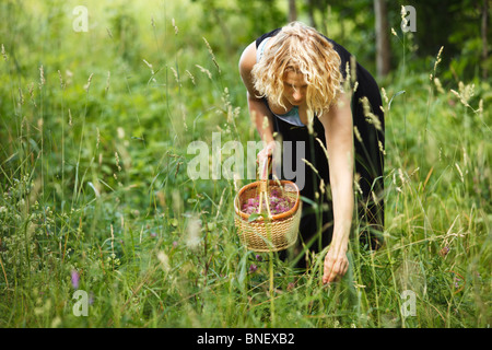 Frau Kommissionierung Kräutertee lange Gras, weich und mild-Szene Stockfoto