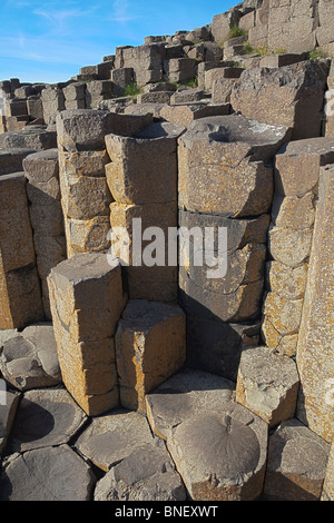 Felsen von Giant es Causeway, County Antrim, Nordirland Stockfoto