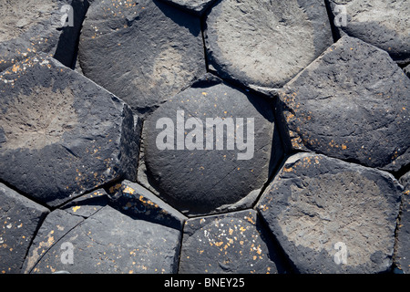 Detail des Giant es Causeway, County Antrim, Nordirland Stockfoto