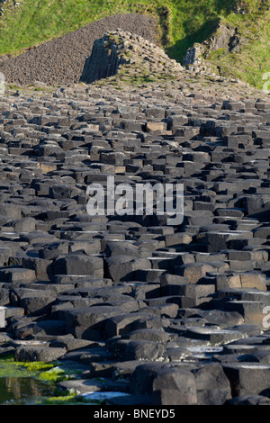 Ansicht des Giant es Causeway, County Antrim, Nordirland Stockfoto
